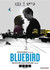Bluebird